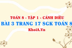 Bài 3 trang 17 SGK Toán 8 tập 1 Cánh Diều